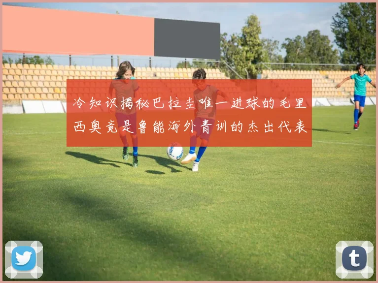 冷知识揭秘巴拉圭唯一进球的毛里西奥竟是鲁能海外青训的杰出代表