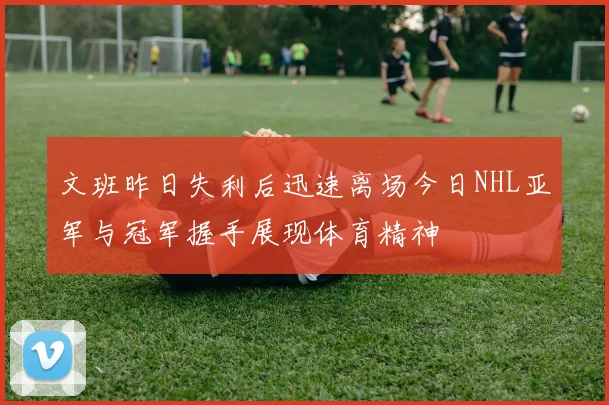 文班昨日失利后迅速离场今日NHL亚军与冠军握手展现体育精神