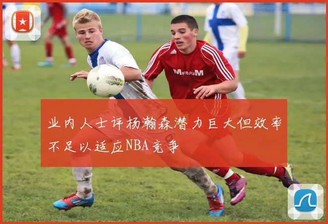 业内人士评杨瀚森潜力巨大但效率不足以适应NBA竞争