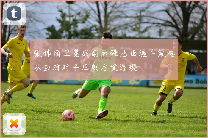 张伟丽卫冕战前加强地面缠斗策略以应对对手压制方案浮现