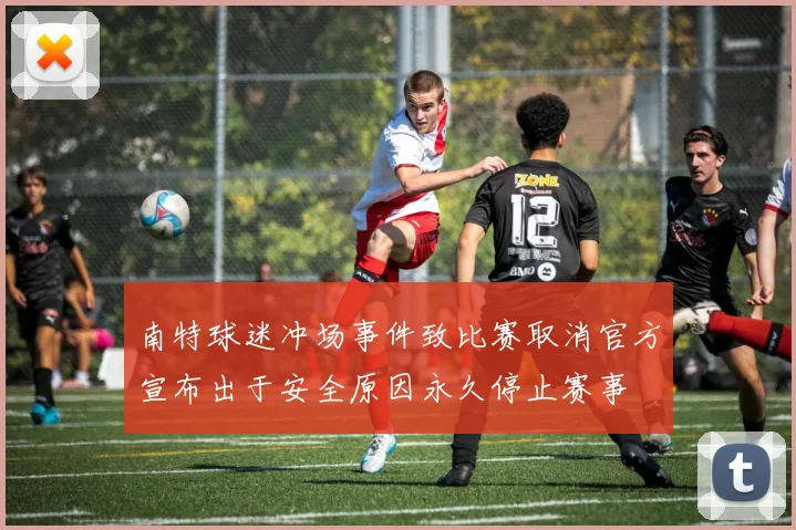 南特球迷冲场事件致比赛取消官方宣布出于安全原因永久停止赛事