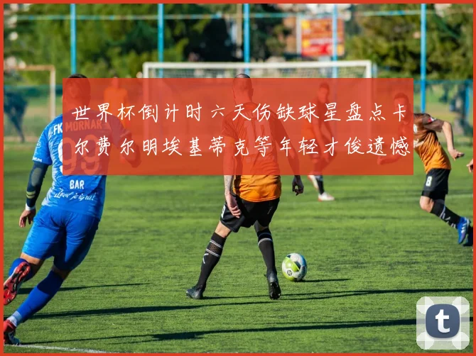 世界杯倒计时六天伤缺球星盘点卡尔费尔明埃基蒂克等年轻才俊遗憾缺席